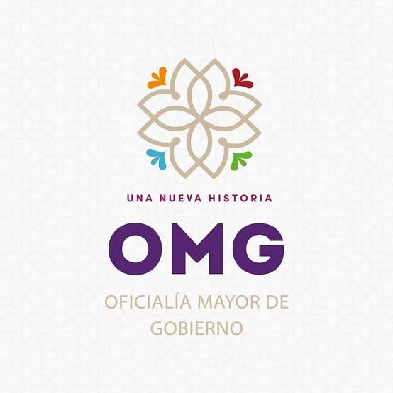 Eréndira Garay Salas, encargada del despacho de la Oficialía Mayor de Gobierno